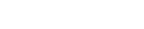 Voodoo logo